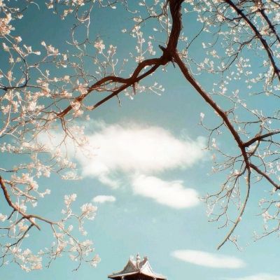王者争雄oppo版下载